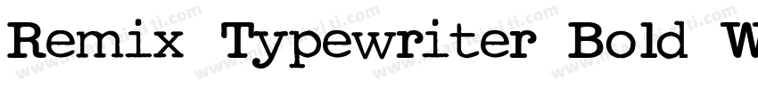 Remix Typewriter Bold W05 Rg字体转换